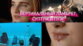 vlog// чайная церемония и уборка леса || студия pinked phlox