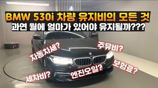 외제차 유지비 I BMW 530i 유지비의 모든 것 I 월에 얼마나 있어야 유지가 될까? 자동차세, 주유비, 보험료, 연비, 할부 등에 대한 모든 내용