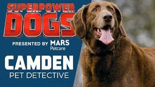 Pet Detective: Camden | Superpower Dogs