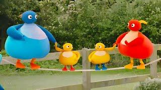 Yıkama İpi! | Twirlywoos | WildBrain Çocuklar