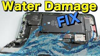 iPhone 12 Water Damage Fix