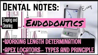 DENTAL NOTES II STUDY WITH ME II ENDODONTICS II SHAPING AND CLEANING PHASES