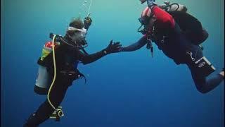 Advanced Open Water Scuba Diver Training with Force-E