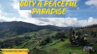 Where to Stay in Ooty | Breathtaking views of Ooty | A2B in Ooty review | 300km from Bangalore