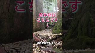 もし逃したら2度とないです！24時間後から良いことが次々と起きます【玉置神社玉石社遠隔参拝】最強パワースポット（奈良県十津川村）