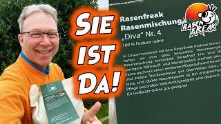 Die DIVA ist da! Eine spezielle Rasenmischung mit 100% Festuca rubra (Rotschwingel) für Rasenfreaks!