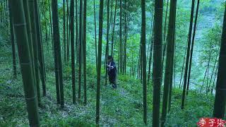 Cô gái có thể làm mọi thứ từ tre /Lý Tử Thất