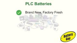 BatteryGuy PLC Batteries