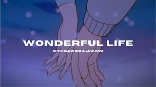 wonderful life - 6pm records & luciano [slowed + reverb]