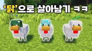 마인크래프트 속 '닭'이 된 상태로 하루종일 살아남기