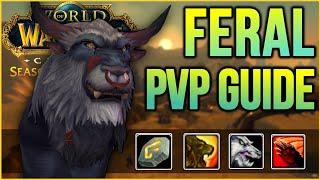 Feral Druid COMPLETE PvP Guide | Phase 2 - Season of Discovery ( Rotation, Runes, Gear, Talents)