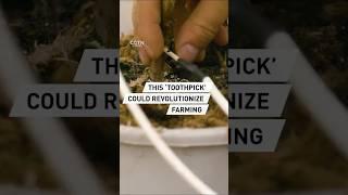 Could this high-tech ‘toothpick’ make farming more sustainable?