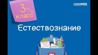 Естествознание. 3 класс. Сила упругости /22.02.2021/