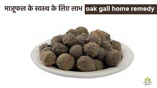 माजूफल health benefits hindi | oak gall home remedy | majufal ke fayede | ayurvedic jadibooti