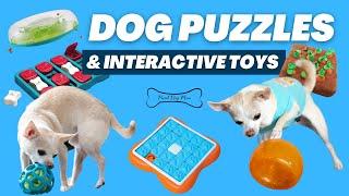 Best Interactive Dog Puzzles & Toys for Mental Stimulation | Proud Dog Mom