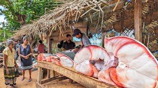 WOW!! ATTRACTIVE Paradise Village Beautiful Street Fish Markets Most Satisfying Fish Cutting ASMR