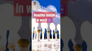 Most Beautiful Masjids in the World  |#shorts #beautiful