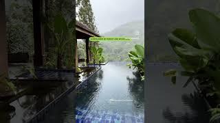 LUXURY PRIVATE POOL VILLA IN THE FOREST | WAYANAD | RESORTS IN WAYANAD | call : 8139851006