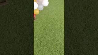 Graduation day‍#viral#shorts#trendingshorts #shortsfeed#shortsviral#viralvideo