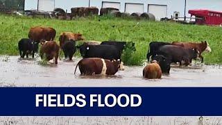 Wisconsin dam fails; roads, fields flood amid intense rain | FOX6 News Milwaukee