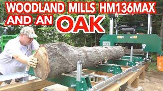 New Sawmill Fine Tuning & First Log - Woodland Mills HM136MAX