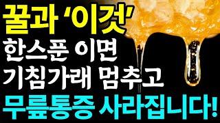 꿀과 함께 먹으면 보약되는 음식 3가지와 레시피 총정리! 값비싼 영양제 대신 '이것' 드세요! 기침, 가래, 염증까지 싹! 사라집니다