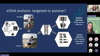 Webinar: using eDNA to detect invasive non native species