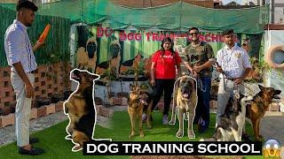 India’s Best Dog Training School For Aggressive Dogs