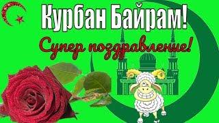 Красивые видео поздравления с праздником Курбан Байрам на праздник курбан-байрам