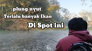 Plung nyut Liaran Rasa kolam‼️ mancing nila umpan pelet