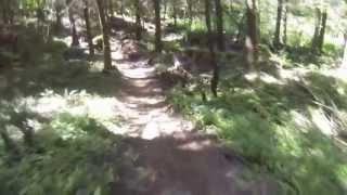 Sumas Mountain Squid Line Part 1