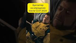 Бухгалтер на упрощенке после 12.07.2024 #бухучет #1с #бухэксперт8 #юмор #этосмешно #бухюмор