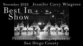 Professional Photographers of San Diego County November 2023 Image Competition