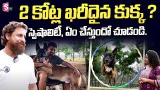Mantravadi Chandrasekhar About Most Expensive Dog | Mantravadi Chandrasekhar Interview | SumanTV