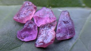 Natural Pink Sapphire Rough Gemstones Lot