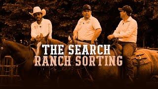 The Search - Ranch Sorting