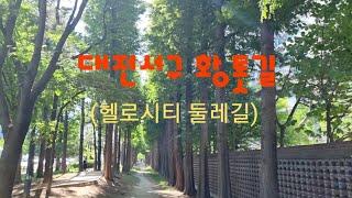 대전서구 황톳길(2022.06.01, 헬로시티 둘레길)