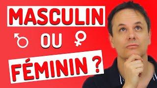 Comment savoir si c'est Masculin ou Féminin en Français? 5 Astuces Très Utiles pour le savoir!!