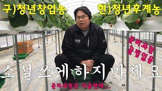 청년창업농 선정자가 말하는 좋은정책 청년후계농(꿀팁없음)