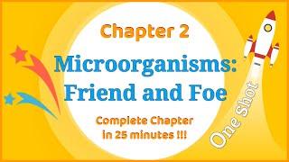 Class 8 Microorganisms Friend and Foe OneShot - Complete Chapter in 25 minutes !!! - LearnFatafat