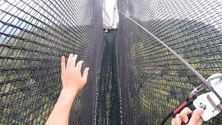 Flying Lemur Flyingfox At Escape Theme Park Penang