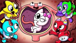 [ANIMATION] GARTEN OF BANBAN 4 Lovely Story Compilation!!   | Banban & Wubbox Cartoon!