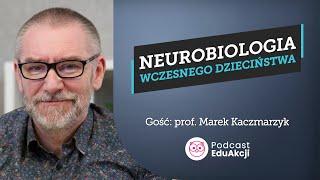 Rozwój mózgu w dzieciństwie | Prof. Marek Kaczmarzyk | Podcast EduAkcji #82