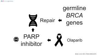 Cancer pharmacogenetic DNA testing and drug resistance | Merogenomics