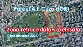 parcul ior defrisat zapada bucuresti