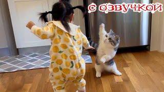 Приколы с котами! - С ОЗВУЧКОЙ! Самые смешные животные! Смешные коты и собаки!
