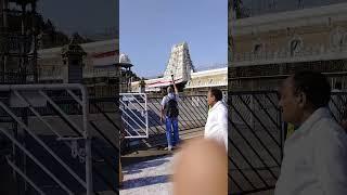 sri venkateswara swamy #tirumala #tirupati #balajitemple