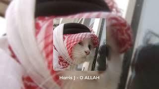 Harris J - O Allah (Speed up + reverb)