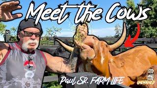 Meet the Cows! - Paul Sr. Unchained