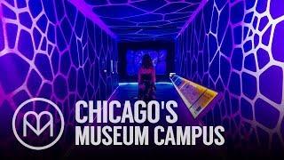 Chicago's Museum Campus